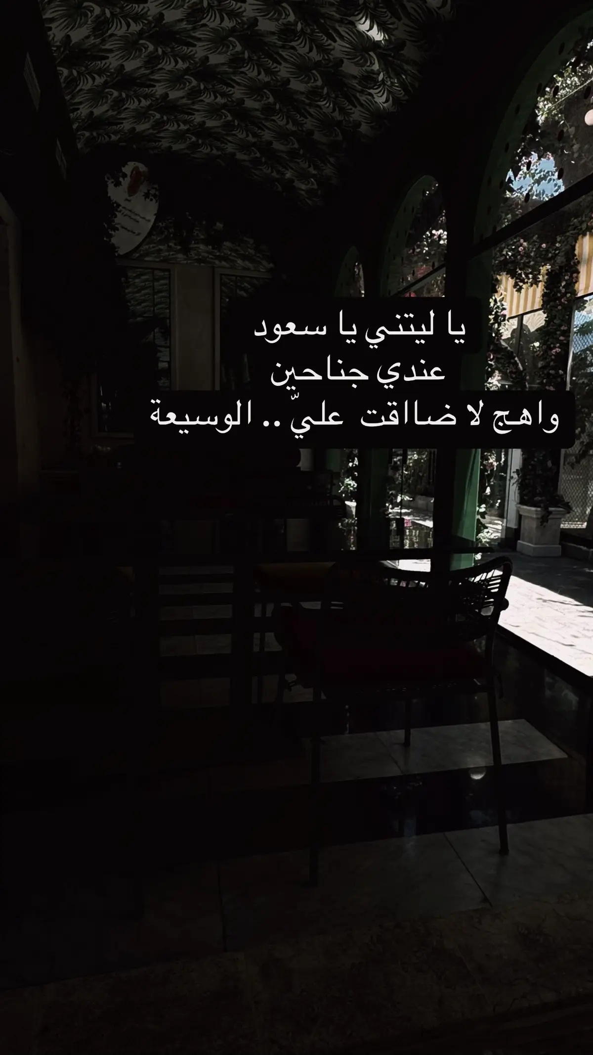 ماجات علي ياسعود ماشكي #اكسبلور #fyp #foryou #تصويري 