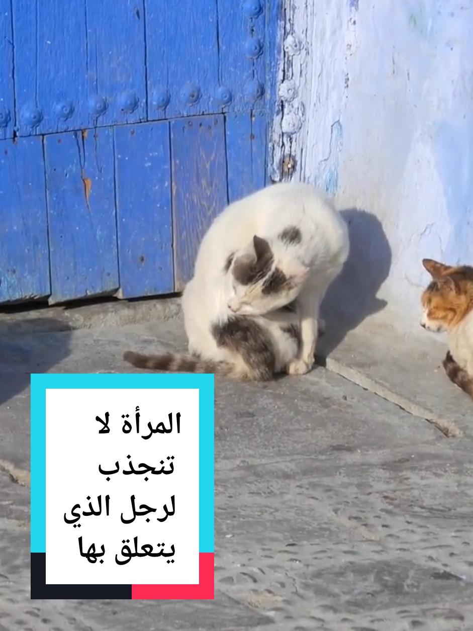 المرأة لا تنجذب لرجل الذي يتعلق بها _ علم النفس العكسي  #fyp #younessigma #sigmalife77 