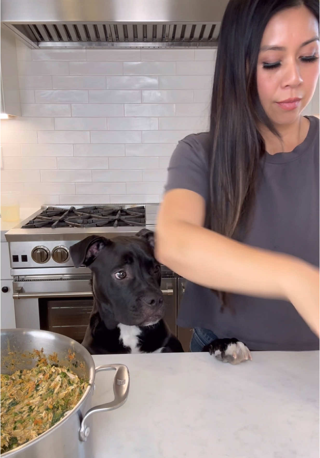 Replying to @Mama Gookie '73 Here’s my second attempt of making dog food for Cooper. I boiled a whole chicken, shredded it, removed the skin and set aside the broth to boil everything else. I blended liver, chicken hearts and sardines and cooked it in coconut oil. Then poured in chicken broth, sweet potato, rice, broccoli and frozen spinach. This is still not a substitute for all his meals because he still eats kibble, but I like giving him some variety. #homemadedogfood 