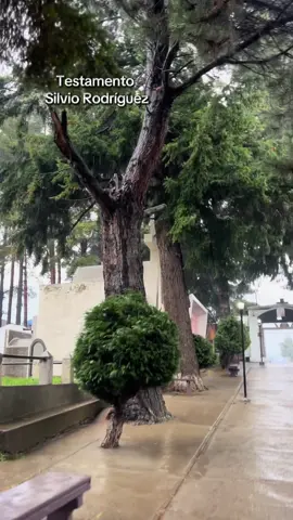 #testamento #silviorodriguez 