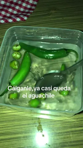 😜#aguachile#meme#trend#tiktokpondeenparati 
