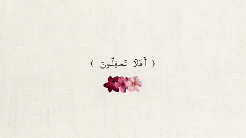 أستغفرالله واتوب إليه 🫧 #قرآن_كريم #اجر_لي_ولكم #اجر_لي_ولكم_ولوالدينا_وللمسلمين #القرآن_الكريم #تلاوات_قرآنية #اذكروا_الله 