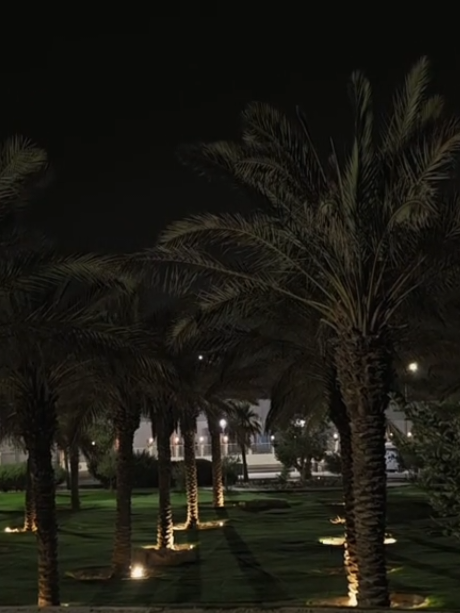 هدوء الليل  #feeeeeeeeeeeeeeeeeeeeee #هواجيس #نخل #هدوء_الليل #هدوء #ليل #اكسبلورexplore #4u #explore #لايك #لايكات 