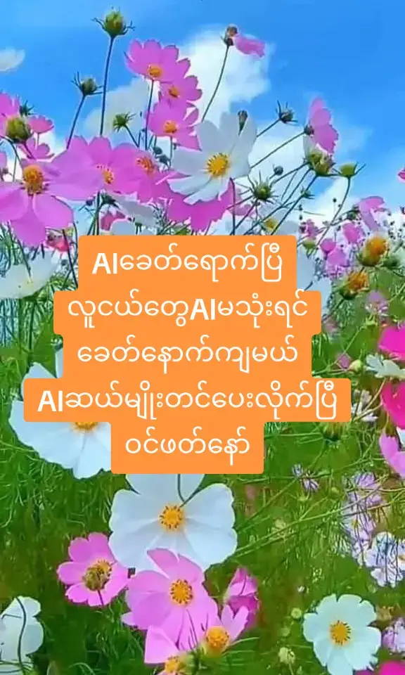မြန်မာလူငယ်တွေ။ AI ခေတ်ရောက်နေပြီ။  AI မသုံးရင် နောက်ကျသွားမယ်။ ဒီမှာ tool ၁၀ ခု စုပေးထားတယ် ‼️ ၁. ChatGPT စာရေးပေးတယ်။ ပြဿနာဖြေပေးတယ်။ လူသားနဲ့ စကားပြောလို ဖြေပေးတယ်။ သူက ရှက်မတတ်ဘူး ။ ၂. Claude စာရွက်စာတမ်း ရှည်ရှည်တွေ ဖတ်ပေးတယ်။ အနှစ်ချုပ်ပေးတယ်။ ၁၀၀ စာမျက်နှာ တစ်ခါတည်း ပို့လို့ရတယ်။ သူက ၅ မိနစ်မှာ အချုပ်ချပေးမယ်။ ၃. Google Gemini ဓာတ်ပုံကြည့်ပြီး ရှင်းပြပေးတယ်။ လက်ရှိ သတင်းတွေ ရှာပေးတယ်။ Google ရဲ့ ကလေးပါ။ အင်အားကြီးတယ်။ ၄. Canva AI ဒီဇိုင်း မရှိရင် ပြဿနာမရှိဘူး။ သူက ဒီဇိုင်းနာ ဖြစ်ပေးမယ်။ Poster လိုရင် ပြောလိုက်။ Professional ပုံစံ ရမယ်။ ၅. Grammarly အင်္ဂလိပ်စာ သဒ္ဒါ ပြင်ပေးတယ်။ မှားတာတွေ မရှိအောင် လုပ်ပေးတယ်။ Email ရေးတိုင်း စစ်ပေးတယ်။ ၆. DeepL Google Translate ထက် ကောင်းတယ်။ ဘာသာပြန် တိကျတယ်။ မြန်မာ-အင်္ဂလိပ် ပြန်ဆိုရင် အဓိပ္ပါယ် မပျက်ဘူး။ ၇. Perplexity AI Google + ChatGPT ရဲ့ ကလေးပါ။ မေးရင် အွန်လိုင်းမှာ ရှာပြီး ဖြေပေးတယ်။ လက်ရှိ အချက်အလက်တွေ အတိအကျ ရမယ်။ ၈. Gamma PowerPoint slide လုပ်ရတာ ပင်ပန်းလား။ သူက အလိုအလျောက် လုပ်ပေးမယ်။ Topic ပြောလိုက်။ slide ရမယ်။ ၉. Notion AI Note ရေးတာ၊ အစီအစဉ်ဆွဲတာ အတွက် သုံးလို့ရတယ်။ ကိုယ့်ရဲ့ second brain ဖြစ်သွားမယ်။ ၁၀. Luma AI Video အကောင်းတွေ လုပ်ချင်လား။ သူက AI နဲ့ video ဖန်တီးပေးတယ်။ Script ရေးပေးရုံ။ သူက video လုပ်ပေးမယ်။ နိဂုံး မြန်မာ youths တွေ၊ ဒီ tool တွေက မင်းတို့ရဲ့ အနာဂတ်ပါ။ မသုံးဘူးဆိုရင် နောက်ကျသွားမယ်။ တခြားလူငယ်တွေက တဖြည်းဖြည်း သုံးပြီး ရှေ့သွားနေပြီ။ မင်းတို့လည်း အခမဲ့ကို စသုံးကြပါ။  ShareThisPost premiumforburma pioneerinlearningl Crd #မာလာအနှစ်ချက်နည်း #photocrd❤️ #foryoupage #tiktok #အိမ်ရှင်မတွေဆီရောက် #auntyei1989 #လူတိုင်းဆီရောက်စမ်းပါ #followers➕ #Credit_To_Original_Writer 