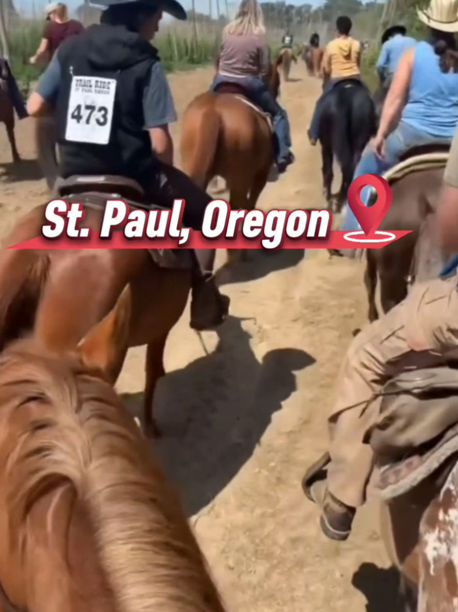 The St. Paul Trail Ride kicked off rodeo season with over 500 riders parading through Main Street and into the countryside. Held every 4th of July, the St. Paul Rodeo is one of Oregon’s largest, drawing ranchers, farmers, and equestrian athletes from across the nation. It’s a true celebration of Western heritage and community spirit. 📸 @skywrn_l  Trail Rides are EVERYWHERE y'all! Just not in the South. At this point y'all  - just go outside!#Oregon   #ride #oregontrail #rider #backroad #horses #riders #trailride #country #cowboys #cowgirl #blackcowboy #horsemen #riders #dancing #community #Love #weoutside #fyp