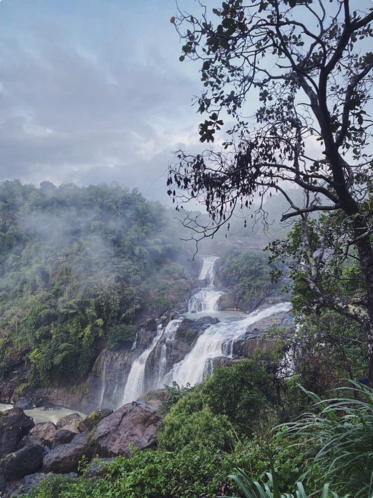 Dingin, adem, dan menenangkan. Kadang cuma alam yang ngerti cara nenangin pikiran. #airterjun #fyp #waterfall #foryoupage #airterjundepa #4upage #gowa #pesonaindonesia #xyzbca #sulawesiselatan 
