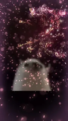 Day 6 of ahmad muhsin #ahmadmuhsin #fyp 