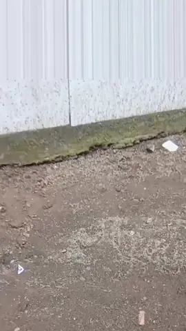 #jombang24jam  #soundsystem #miniatur  #fyppppppppppppppppppppppp 