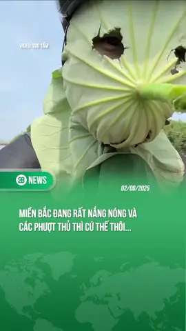 ANH EM MÌNH CỨ THẾ THÔI HẸ HẸ HẸ #Theanh28news #tiktoknews #theanh28