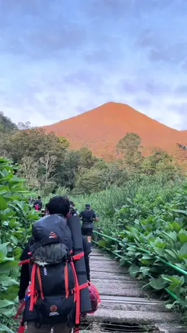 sorry komen vt sebelumnya blm kebales abis dari #pangrango #pangrango3019mdpl #pangrangoviacibodas #atapbogor #viewmountain#pendakipemula #fyp