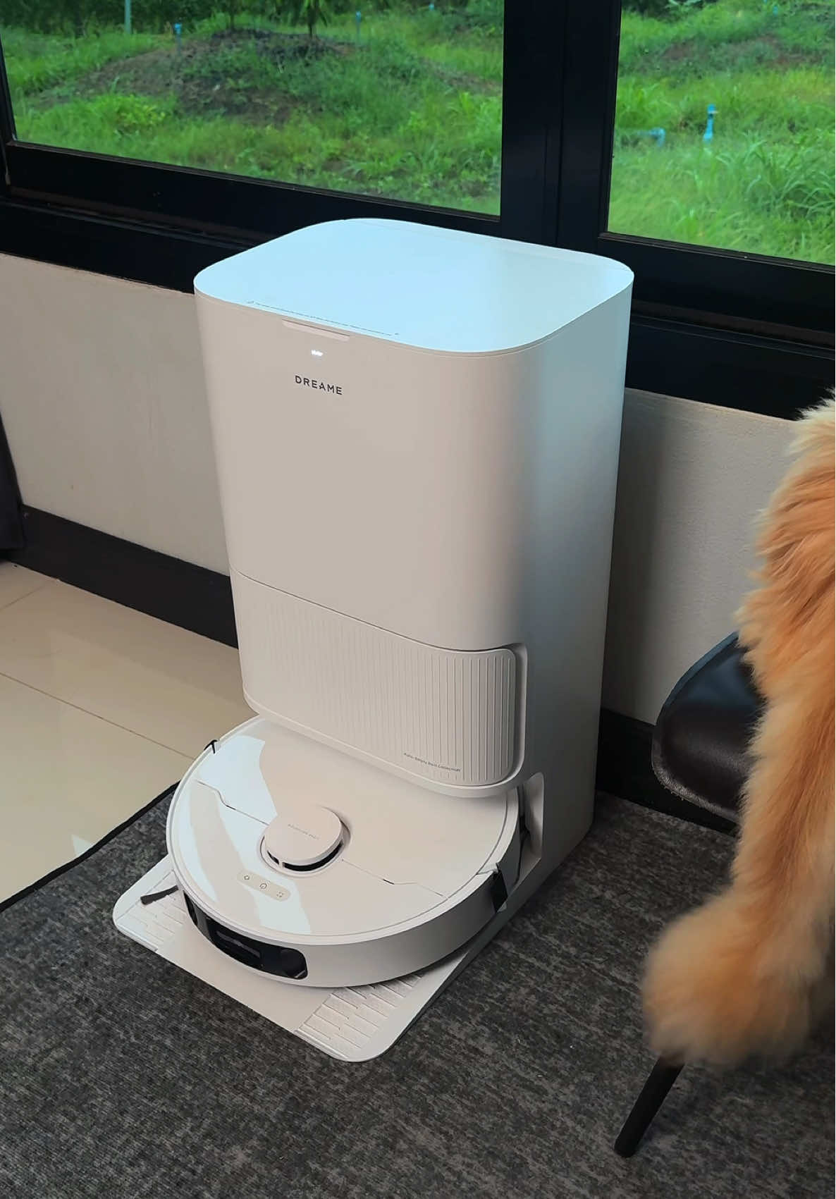 มาป้ายยาของดี ❤️😍 กับ Dreame D20 Ultra  เครื่องดูดฝุ่นอัจฉริยะ  ครบ จบในตัวเดียว 🫶🏼🌿✨ในงบไม่เกิน 15k  #Dreame #DreameD20Ultra #หุ่นยนต์ดูดฝุ่นถูพื้นอัจฉริยะ #เครื่องดูดฝุ่น #เครื่องใช้ไฟฟ้า #banksata #fyp #wfh 