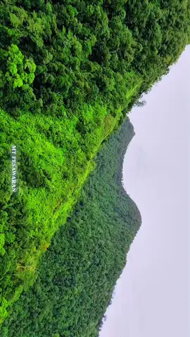 view puncak gunung pesawaran dari mas @willysastwn_1 #pesawaranlampung🇮🇩 #pendakiindonesia #pendakipesawaran #lampungpesawaran #puncakgunungpesawaran #gunungpesawaran #pesawaran 