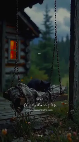 تلاوه جميله ومؤاثره ل القاري رعد الكردي 🤍🍁 #القران_الكريم #قران #ارح_سمعك_بالقران #راحه_نفسيه #quran #quran_alkarim #makahmadina🕋 #fyp #foryou #foryoupage 