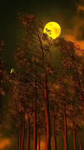 #fyppppppppppppppp  #laguviral  #viral #fullsong  #liriklagu 