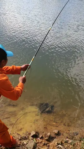 MÊ MỖI KHÚC NÀY ĐÚNG CHƯA AE? 😂😂😂🍀🍀🇻🇳🤣#mêcâucá #câucá #câucagiaitri #câucá #xuhuong #fishing #câucatựnhiên #luân4585 #bianh #câudaifising #xuhuong2025 #câudaifising #nghiệncauca 