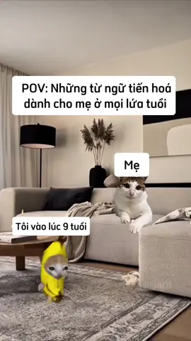 #POV :Những tử ngữ tiến hoá dành cho mẹ ở mọi lứa tuổi #memecat #catmeme #memestiktok #memes #xh #fyp 