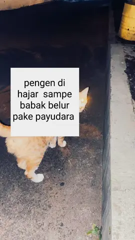 #Meme #pageforyou #fypage 