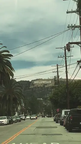 LA ✨#losangeles #berverlyhills #venicebeach #santamonica #hollywood #california 