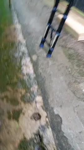 Hujan bray  #isp #wifieror #teknisi #teknisiwifi #kangwifi #xybca #fyp #soundviral 