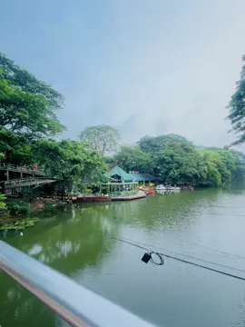 বার বার ফিরতেও নেই ফেরাতেও নেই❤️‍🩹💔#shahariar_parvezz #fryyyyyyyyyyyyyyyyyyyyyyyyy #weather #dhanmondilake #bridge 