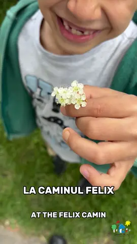 La Căminul Felix, copiii cresc în siguranță, iubiți și hrăniți — dar mai ales, aud despre dragostea lui Isus. Cei mari îi învață pe cei mici, se roagă împreună și trăiesc credința ca într-o adevărată familie. 💛 👉 Susține această lucrare care schimbă vieți. Devino sponsor! #CaminulFelix #CredintaInActiune #DragosteCareSeTraieste At Caminul Felix, children grow up safe, loved, and cared for — but most importantly, they hear about the love of Jesus. The older ones teach the younger, they pray together, and live out their faith as a true family. 💛 👉 Support this life-changing mission. Be a sponsor! #CaminulFelix #FaithInAction #LoveThatIsLived