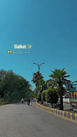 Tag your love ✨🥺🫢#butterfly #foryoupage #foryoupage #pakistan #pakistan #sialkot #butterfly  