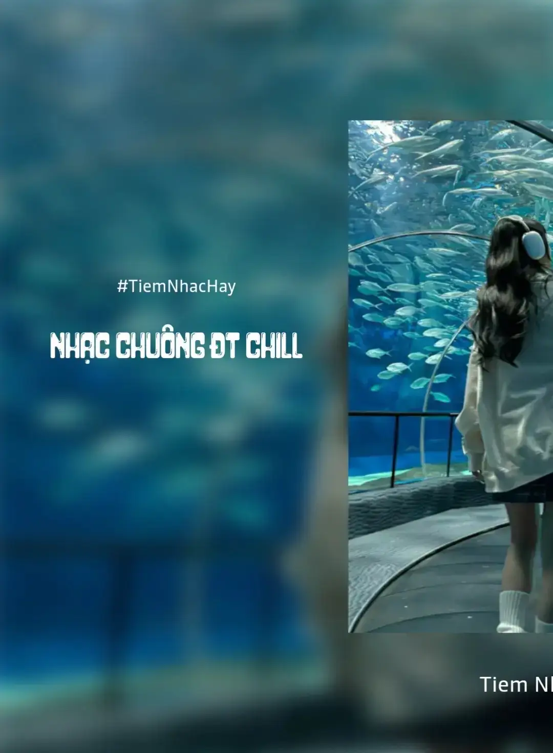 nhạc chuông đt cực chill #yrics #nhachaymoingay #xuhuong2025 #xh #fpy #foryou 