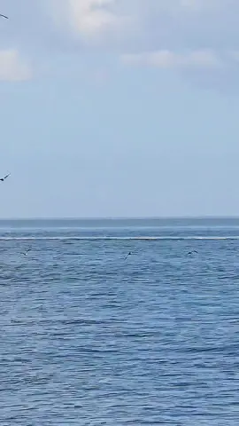 Nuclear Submarine usa 🇺🇸Passing Fort Wool #nuclear #ship #usnavy #warship #missile #bigguns #50cal 