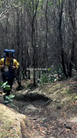Forest for rest🍃⛰️🌲 #laviofootwear #sepatuoutdoor #produklokal #outdoorgear #sepatugunung #sepatulokal #pendakigunung 