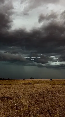 work song #foryoupage #hozier #nature #foryou #worksonghozier 