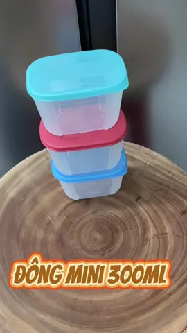 Hộp đông 300ml #tiktoklive #livehighlinghts #hongvanbeptuc #tup #tupperware #tupchinhhang #tupperwarechinhhang #hoptrudong #hoptrumat #hopdungthucpham 