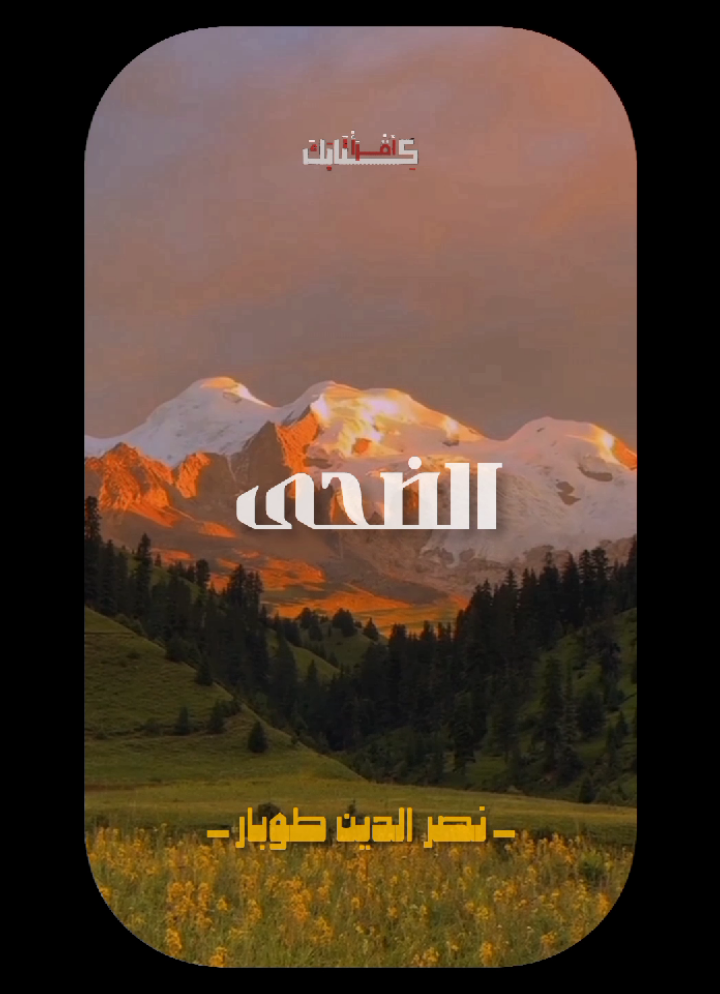 🦩|الضحى من نور من؟ 🤍🤍🤍 .  .  .  #ابتهالات #تواشيح #نصر_الدين_طوبار  #الضحى 