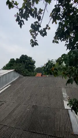 Tipis tipis dulu #serviceac #tukangserviceac #tukangacviral #airconditioner #storykerja #nguliday #tukangAC #storykuli #brandatiktokfyp #❄️❄️ #storytime #menyalaabangkuh🔥🔥🔥🔥🔥 #fypkabarin 