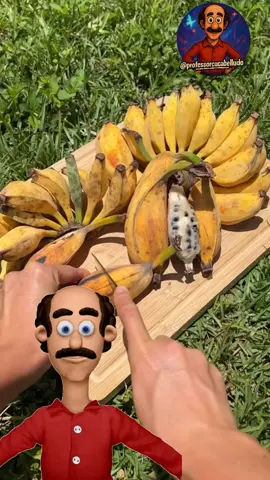 Banana raiz!  Conheça agora a verdadeira banana,  sem modificação geneticas  siga nossa página @professorcucabell #curiosidades