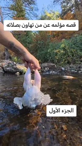 قصه مؤلمه عن من تهاون بصلاته #قصص اهل البيت عليهم السلام #الصلاةعمودالدين📿 #اكسبلور 