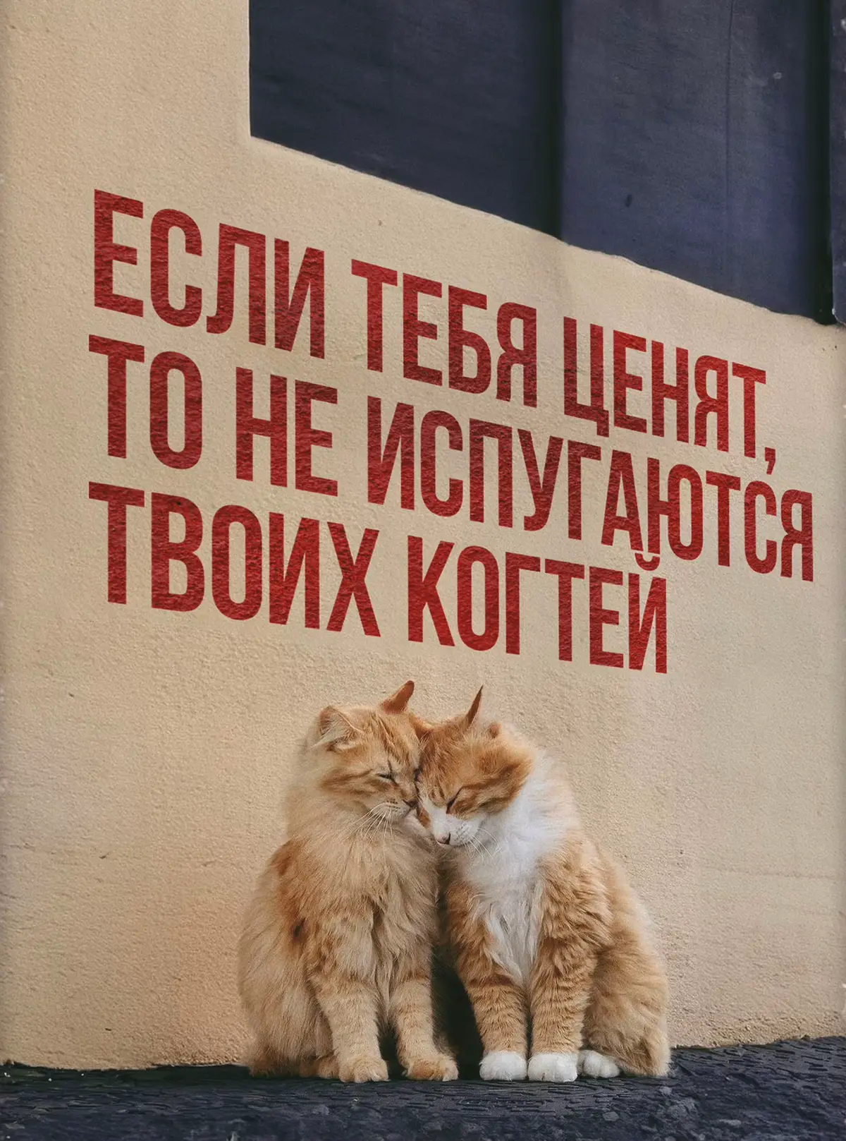 Поэтому собрали для вас подборку настоящей 