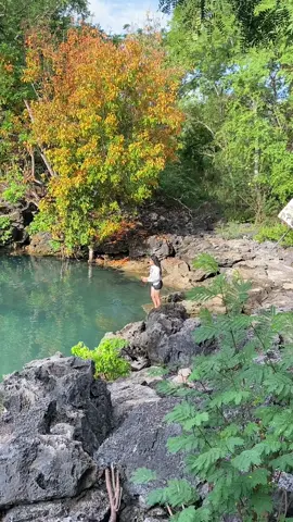 Tips hidup tenang; dekatkan diri pada alam💦🌬️                                            #kolampenyupulausemauntt #semau #nttpride🏝🔥 #healing 