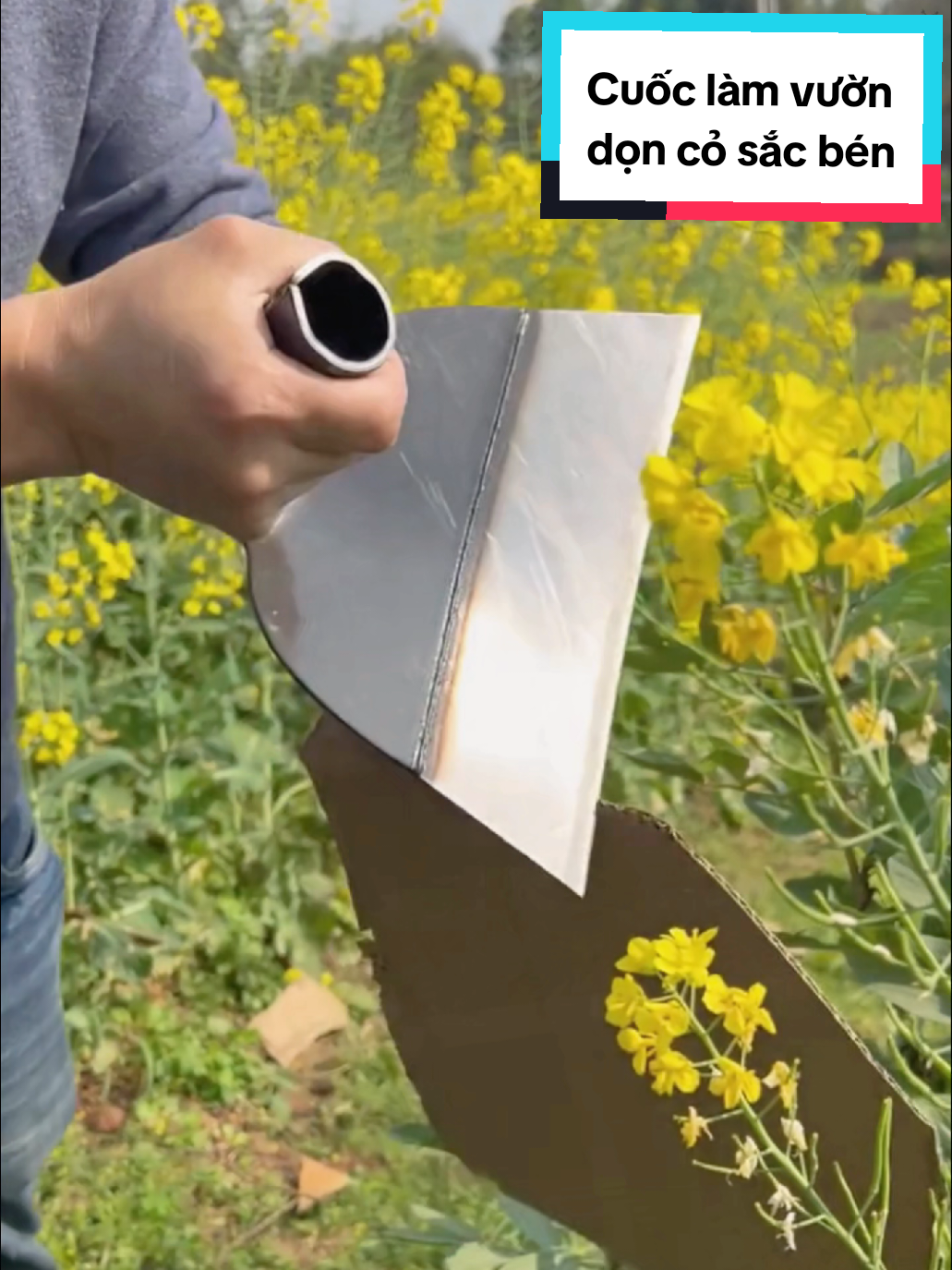 Cuốc làm vườn, sạc cỏ, phát cỏ,... #lamvuon #cuocdat  #cuoc #sacco  #phatco #xuhuong #catco 