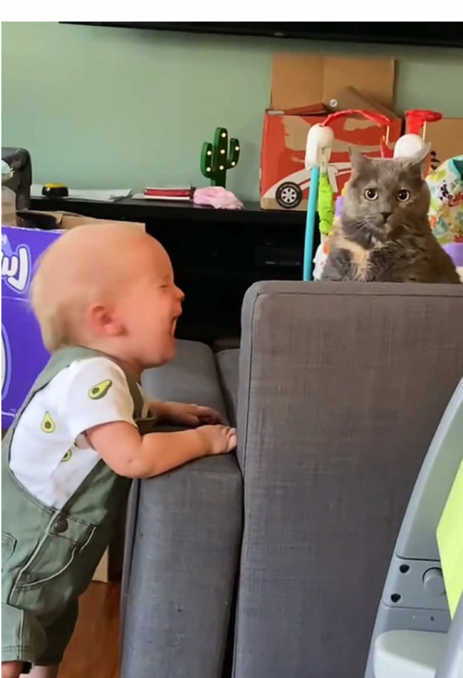 The cat's reaction when the child crie😹#cat #funny #for #fyp #funnyvideo #animal #animalsoftiktok #usa #pets