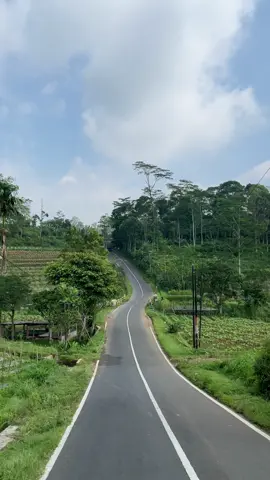 Ada yg tau jalan ini? . . . . . . #temanggung #pesonatemanggung #pateken #wonoboyo #alam #pesonaalam #fyp #fypage #fyppppppppppppppppppppppp #fypシ゚ #fypp 