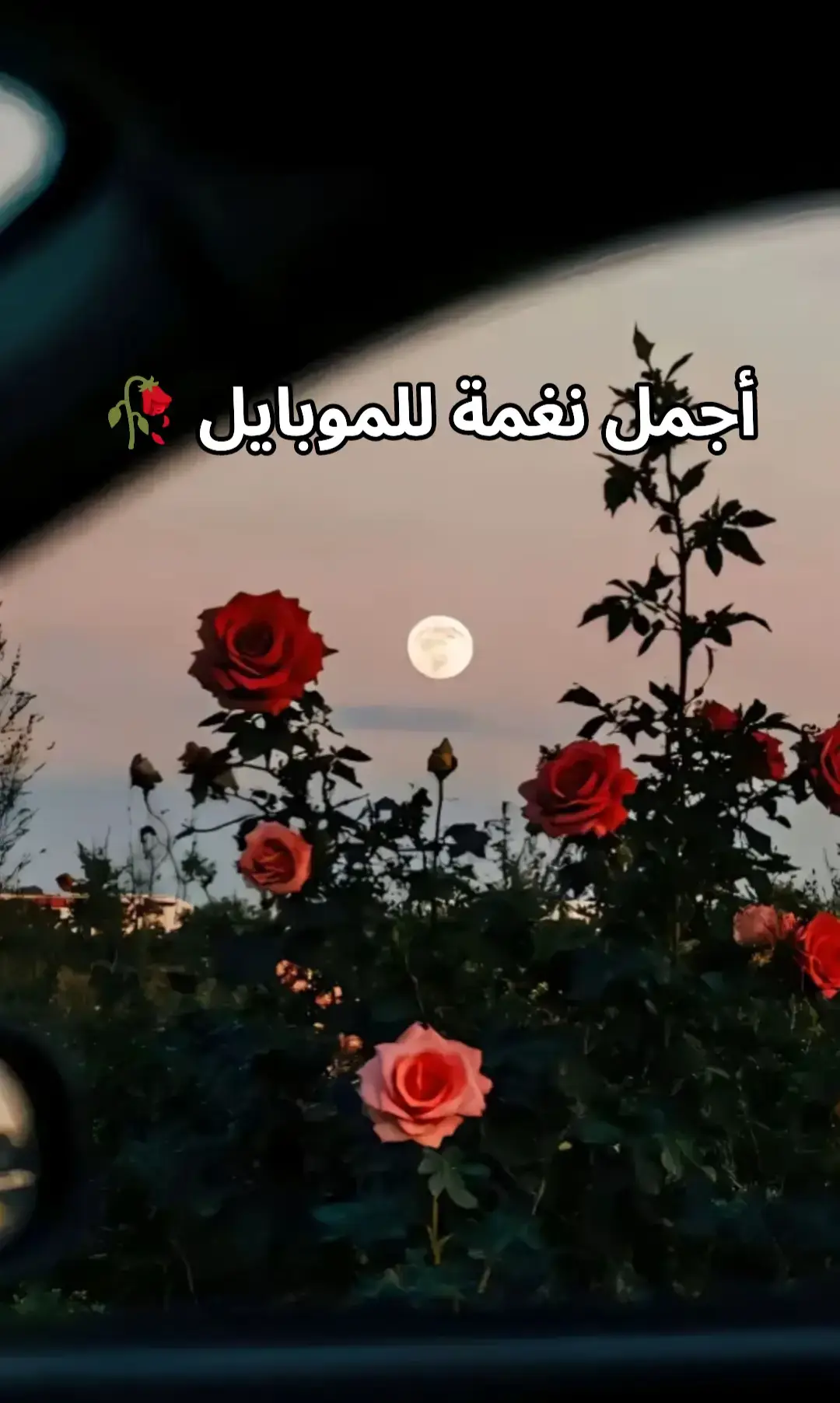 #نغمات_رنين #viralvideo #نغمه_مميزه #foryoupage #نغمات_جوال #fypシ゚viral🖤tiktok #تصميم_فيديوهات🎶🎤🎬تصميمي🔥 