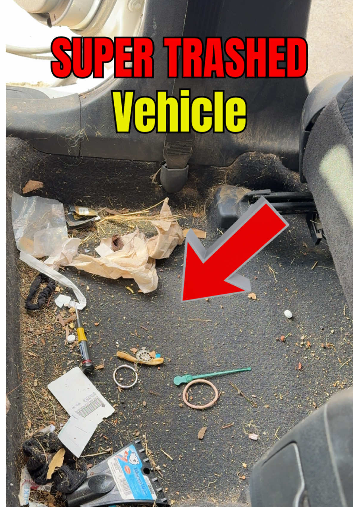 Deep cleaning SUPER TRASHED vehicle  #sleekautodetail #cardetail #autodetailer #foam #powerwashing #steamcleaning #carwash #cleaning #cleaningvideos #carporn #satisfyingvideos #satisfying #satisfyingasmr #cleaningasmr #asmrsounds #asmr #transformation #fyp #fypシ