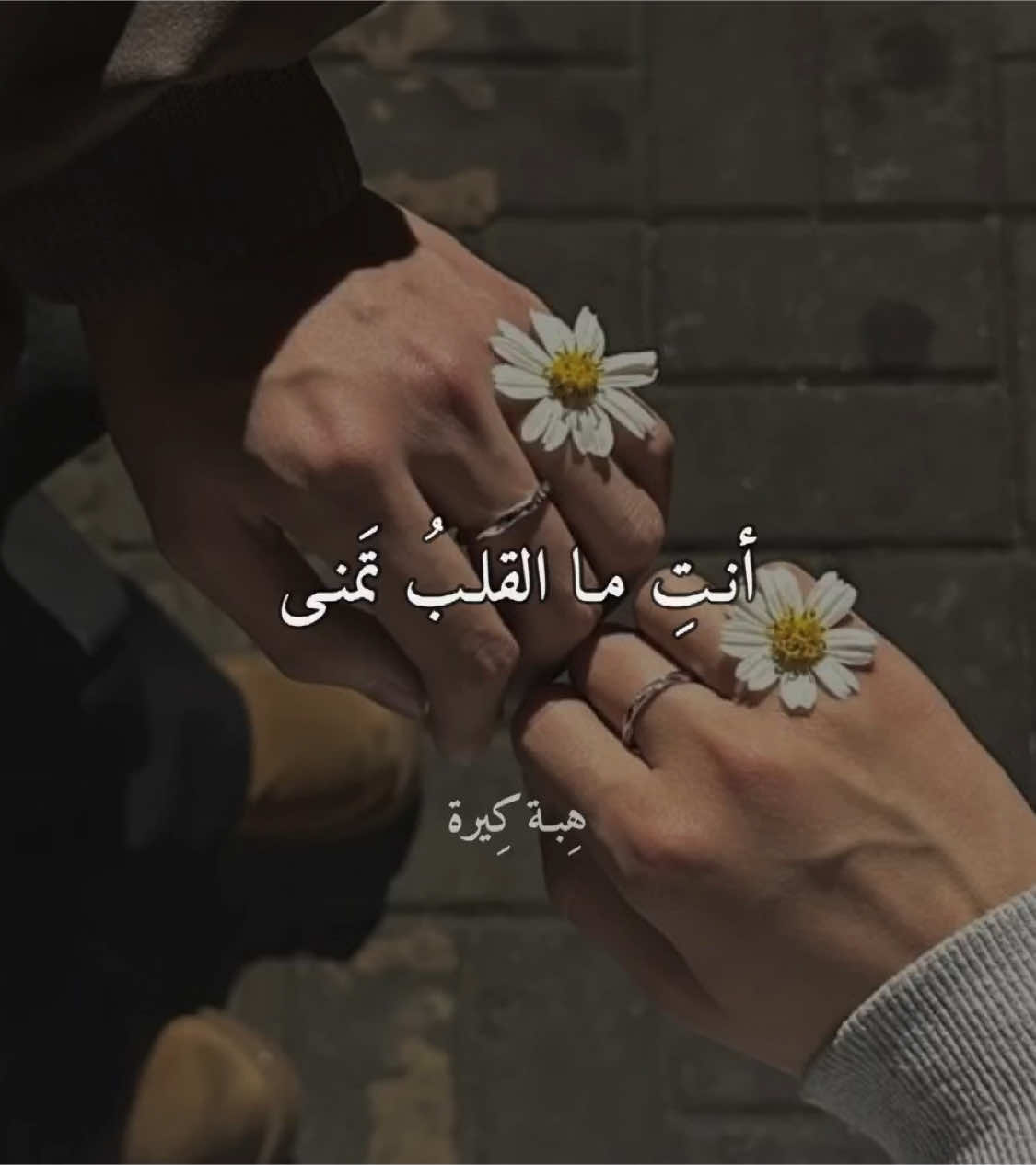 🤎#هِبـة_كِيرة #بدون_موسيقى 