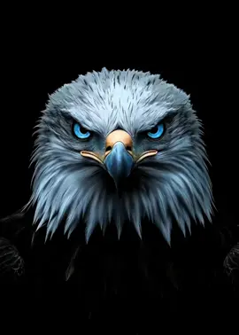Eagle live wallpaper #livewallpaper #eagle #fyp 
