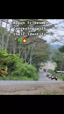 📍Jiwaka prov|Jimi Kopun Tribesmen 🌿🔥🎶 🎥 :amazing Papua New Guinea 🇵🇬  #2025  #CapCut  @png tiktok 