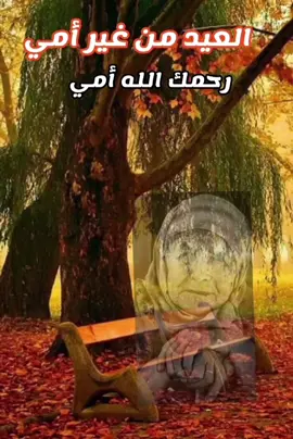 العيد من غير أمي  دعاء لأمي المتوفية 