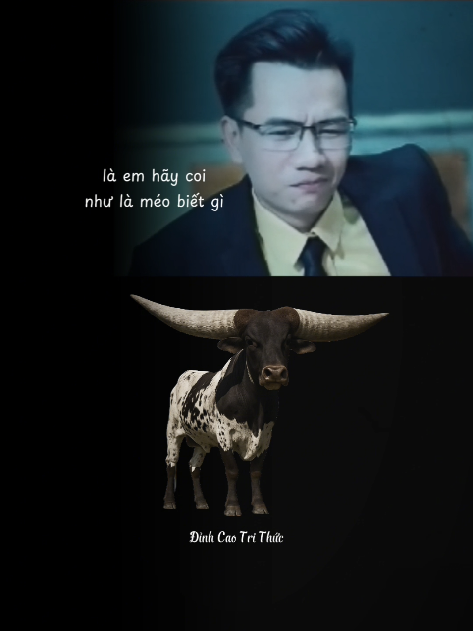 Cách xử lý khi bị cắm sừng #dinhcaotrithuc #thayhuugiang 