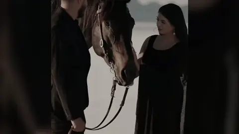 #الخيل_العربي_الاصيل #طبرق_بنغازي_درنه_طرابلس #ليبيا🇱🇾 #اكسبلور #الشعب_الصيني_ماله_حل😂😂 