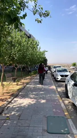 دوماهیك😍🧡 #uod #uod_duhok #uoz #uoz_zakho🏛 #duhok_zaxo_amedi_semel_akre #zaxo_duhok_hewler_slemani_hawler #foryou #explore #fyp #university 