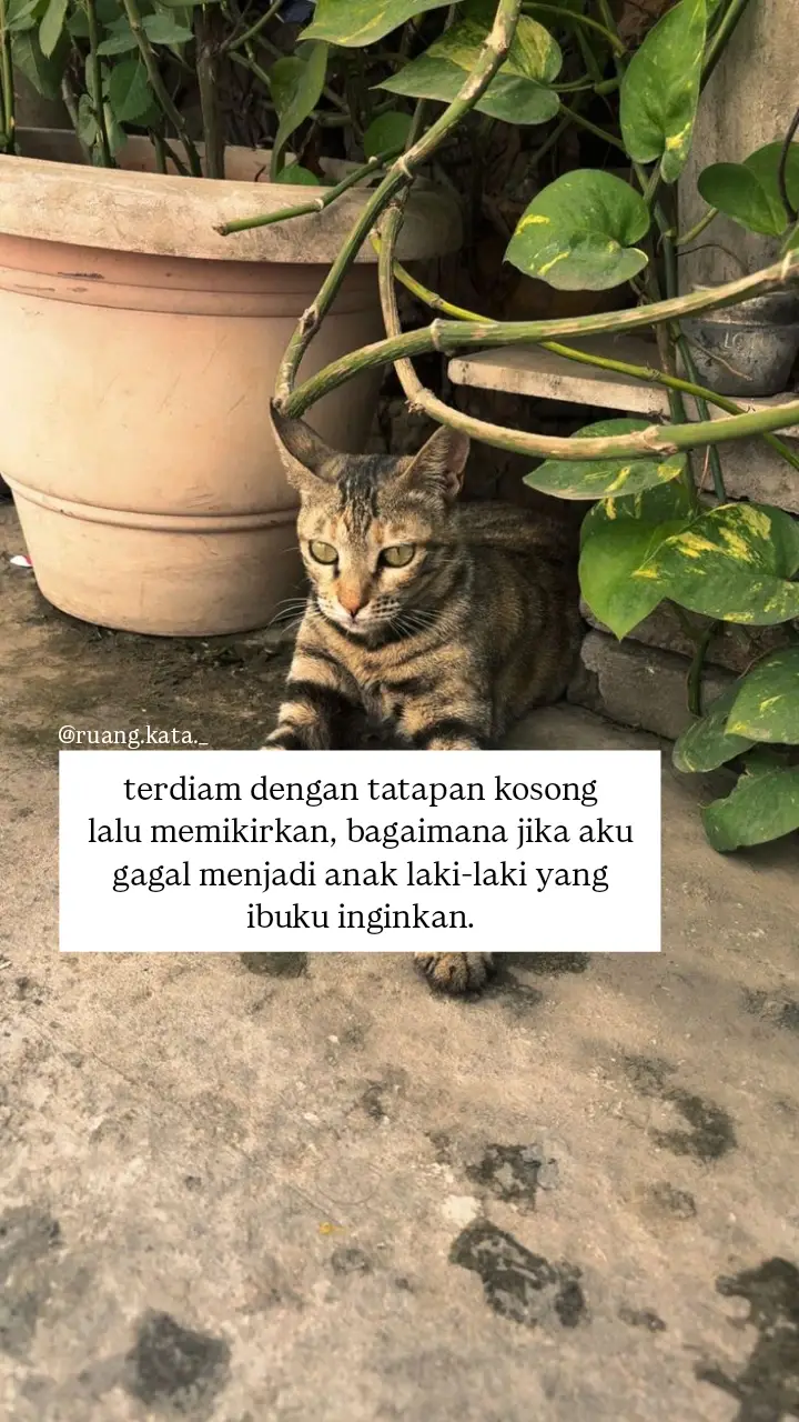 mau fto kamu dibikin kata